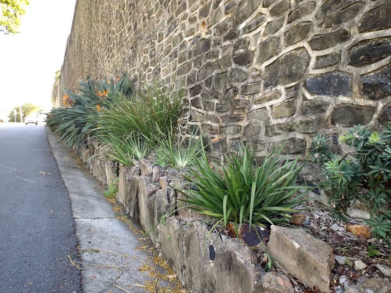 Sandstone retaining wall with garden plantings along a footpath